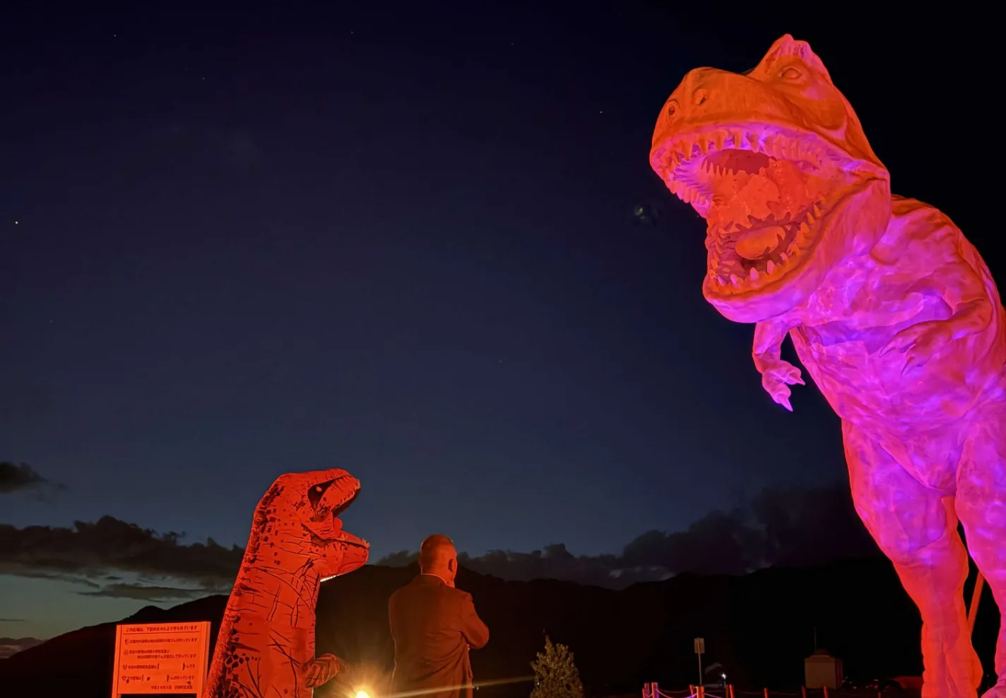 ピンクリボンライトアップ「〜その光は、あの日流した涙を、未来の笑顔に変えるために〜」