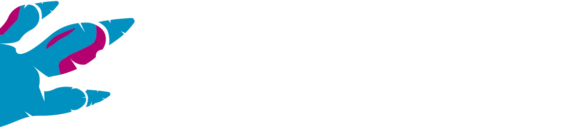 Q&A